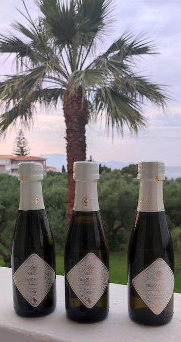 appartementen op zakynthos
