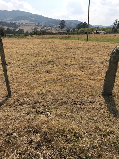 Miniatura: Finca Bramaderos Valle de Sopó