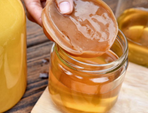 Te de Kombucha