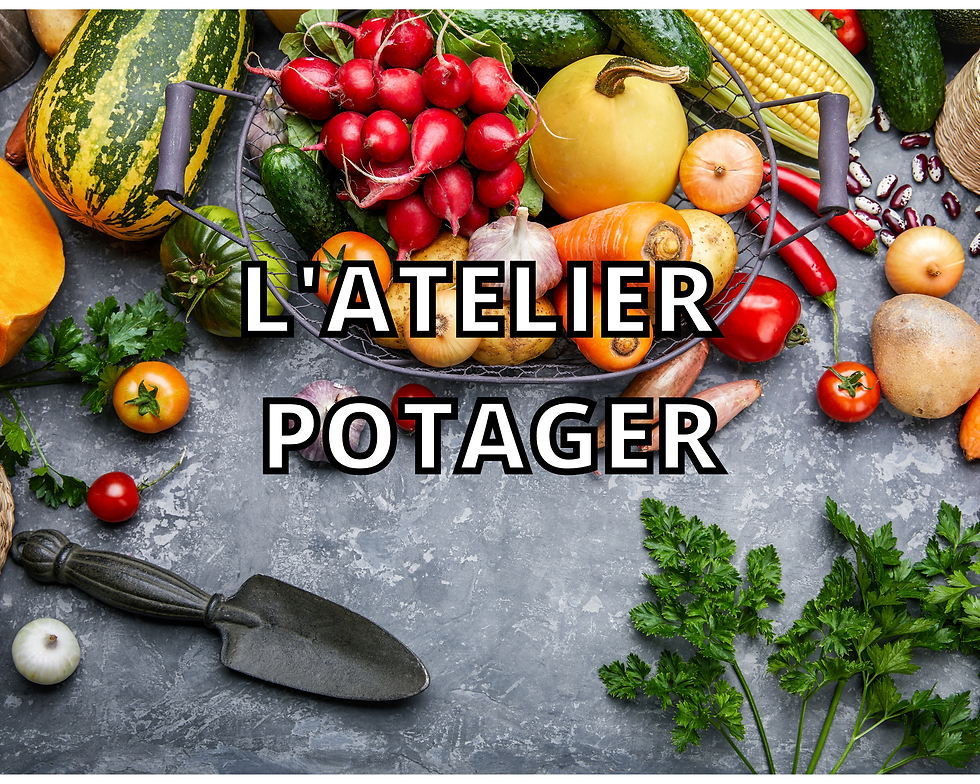 L'atelier gourmandise (5)