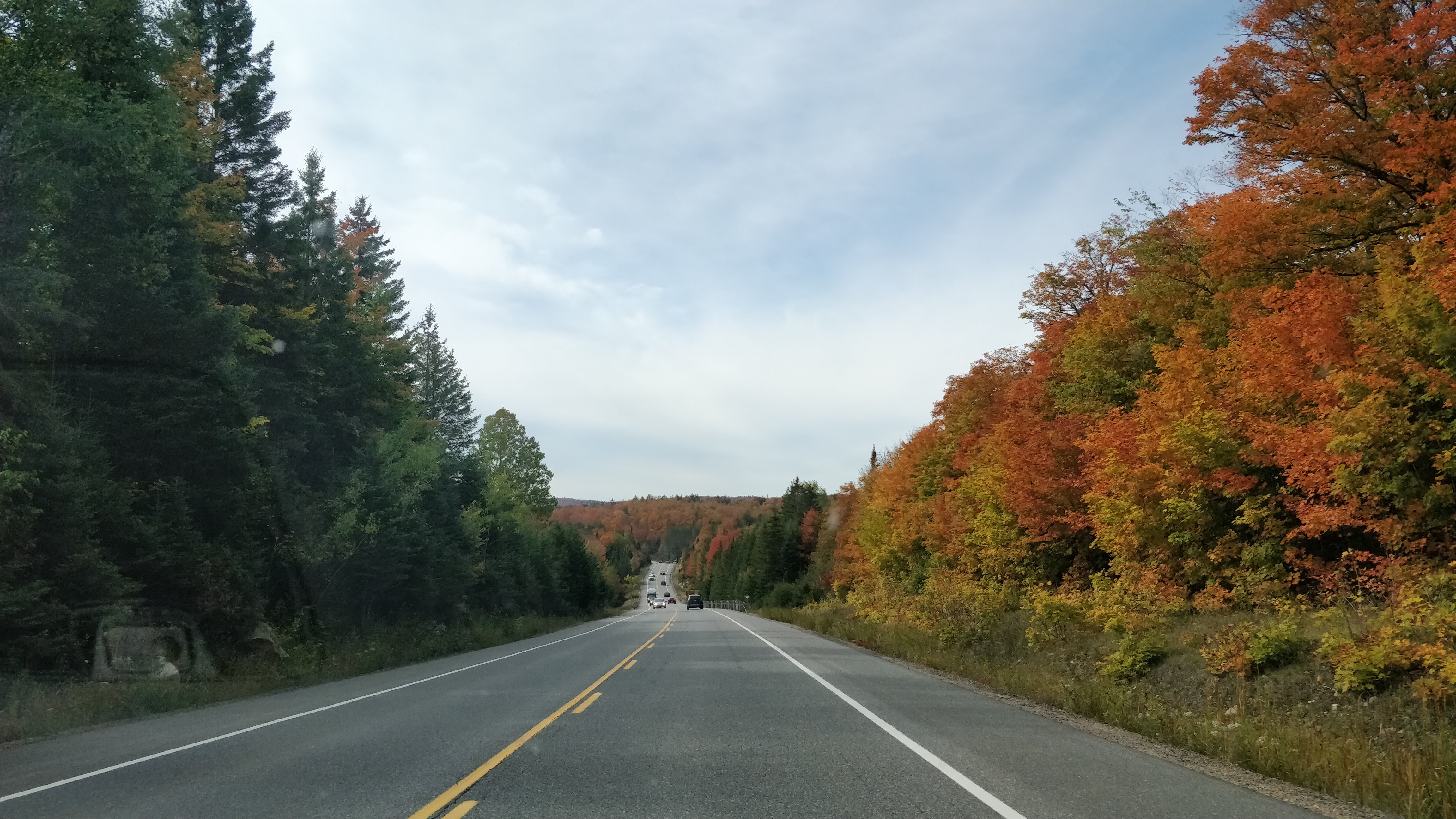 Algonquin provincial park