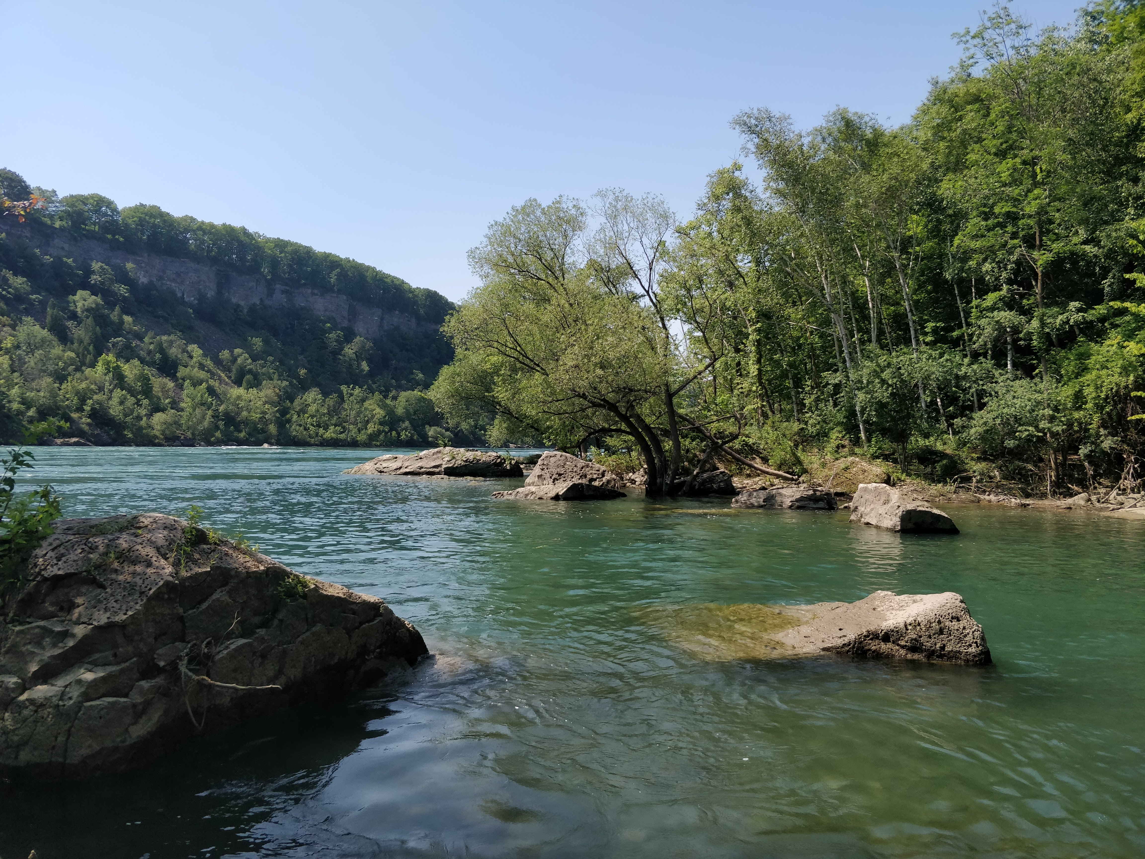 Niagara Glen Nature Reserve