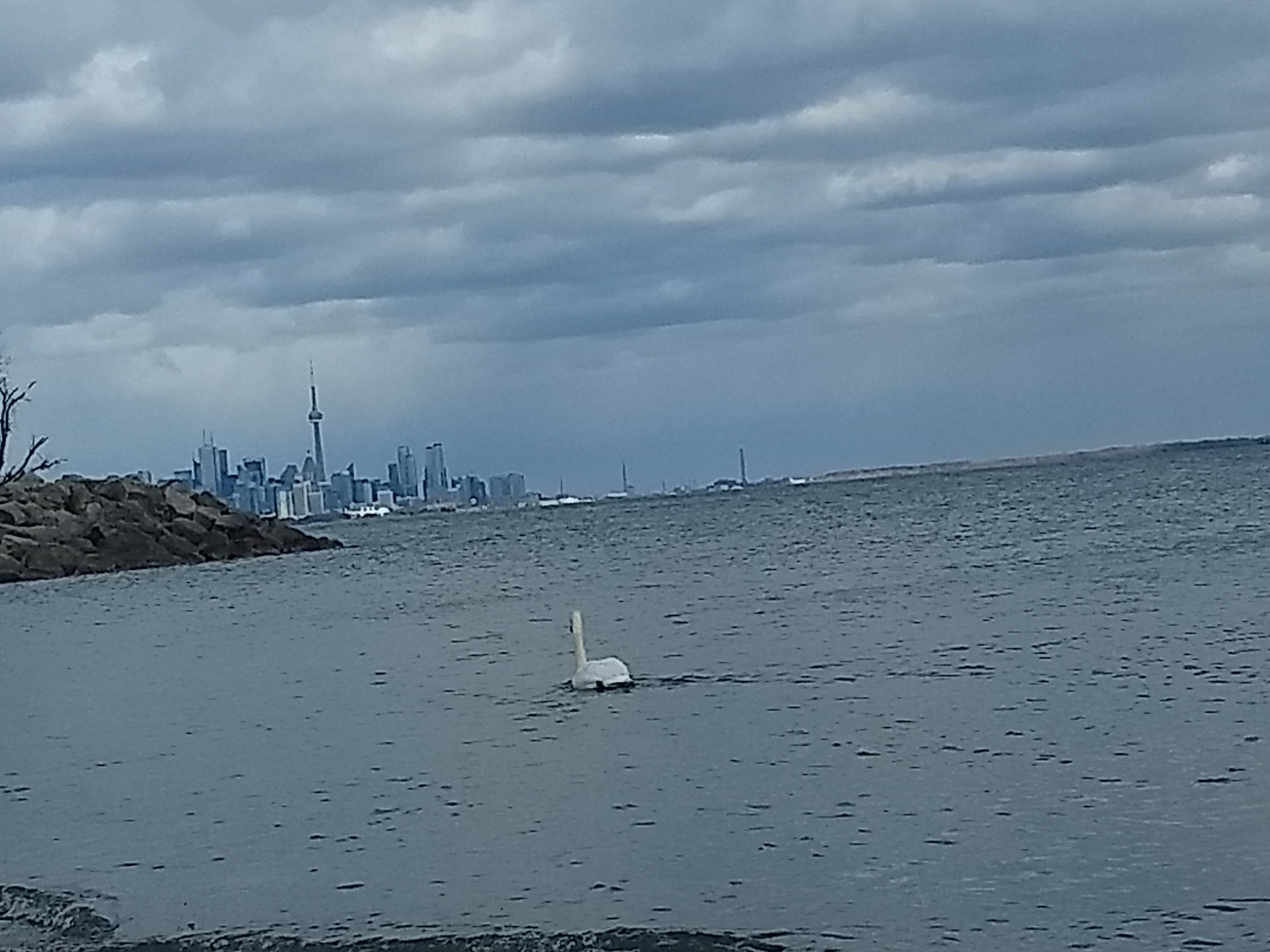 Colonel Samuel Smith park