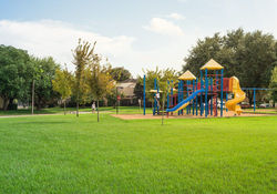 shutterstock_480258076-1000x700