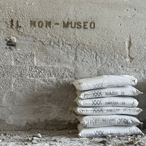The non-museum: an intervention by fiona morrison and cristine balarine