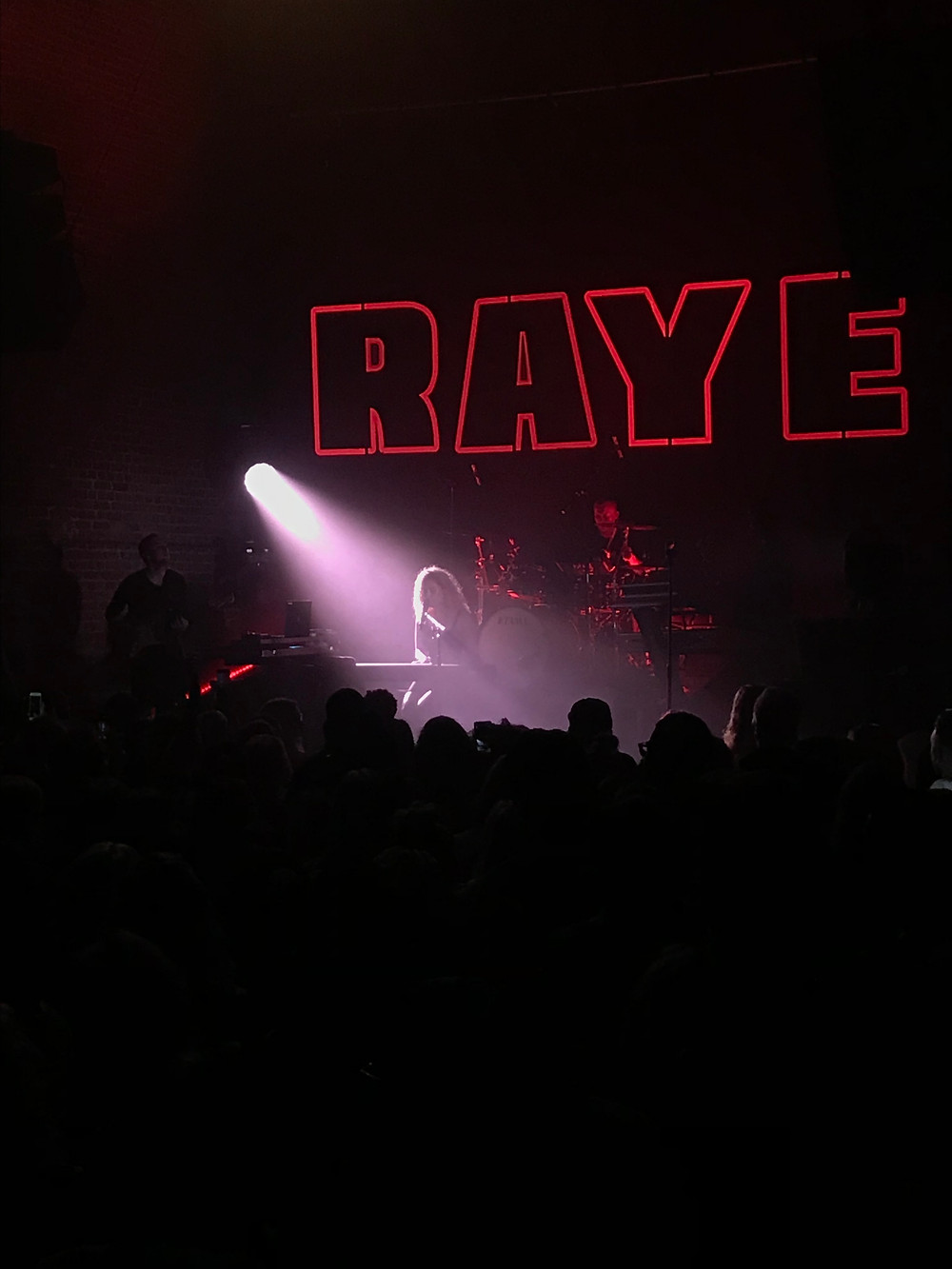 Woman, RAYE singing at concert