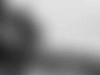 Michael X: Hustler, Revolutionary, Outlaw