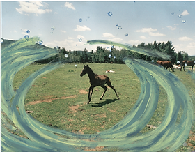 cheval artistique.PNG