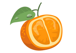 orange4.png