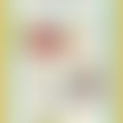 Why you Should Never Leave Your Pet in A Hot Car