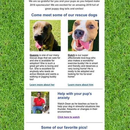 Good times at the ranch!