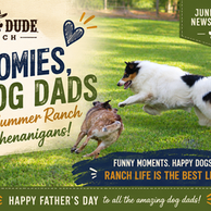 Dog Dude Ranch Zoomies, Dog Dads & Summer Shenanigans. Funny moments. happy dogs. Ranch life is the best life. Happy Father's Day to our amazing dog dads!
