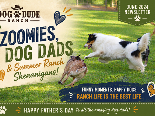 Dog Dude Ranch Zoomies, Dog Dads & Summer Shenanigans. Funny moments. happy dogs. Ranch life is the best life. Happy Father's Day to our amazing dog dads!