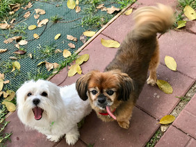 Spring fun at the ranch!