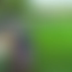 Goofy fun times at the ranch!