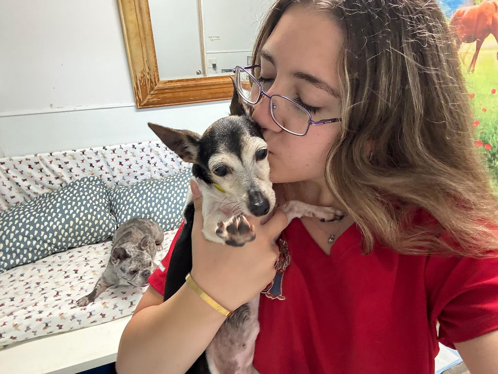 Giving our sweet pups hugs and kisses