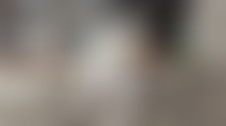 PET-FRIENDLY SOFAS WITH STYLE