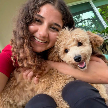 Paw Prints on Our Hearts: The Unbreakable Bond Between Dogs and Their Families 🐾❤️