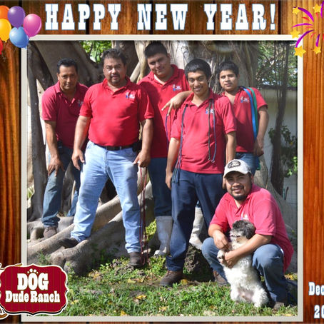 Sending you our best Holiday Wishes from all of us at the Dog Dude Ranch!