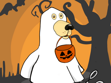 Best DIY costumes for your dog!