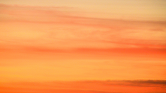 Capas site 25 (5).png