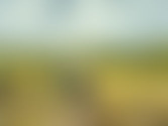 Carbon-neutral tourism in the Cerrado: Praia Rica Expedições’ operations