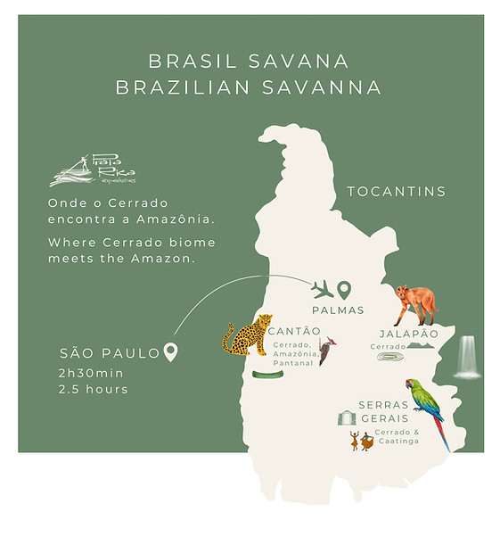 Praia Rica Expedições Cantão Amazônia Tocantins Brasil Brazil