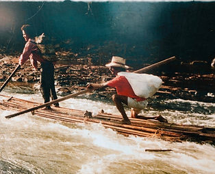 Logo referência - Balsa de Buriti.jpg