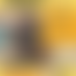 Volunteer Appreciation Event