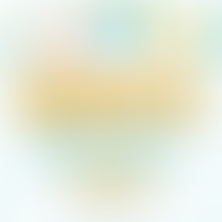 Berwyn Fiesta Update