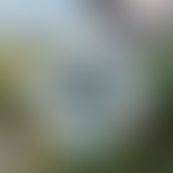 Property Tax & Assessment FAQ