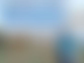 Jane Weber named Volunteer of the Month