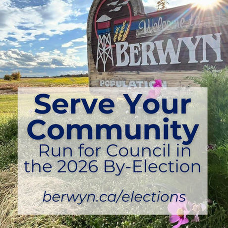Run for Council in the By-Election