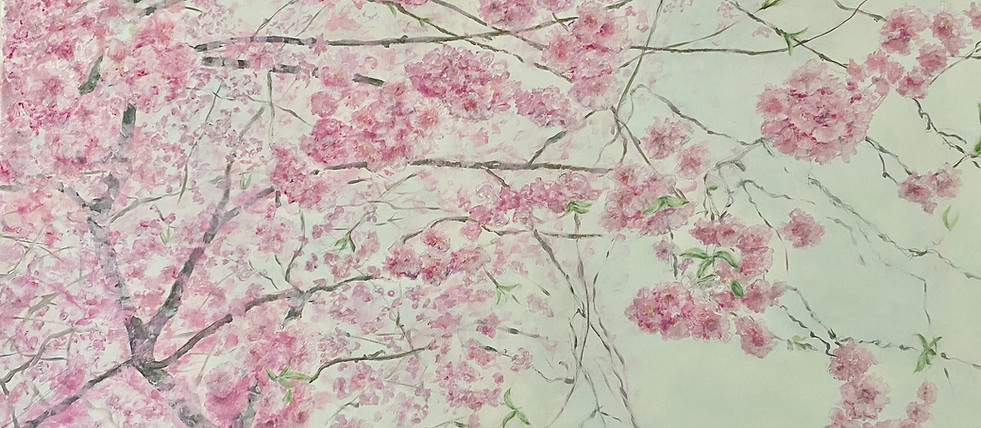 Et væld af kirsebærblomster.jpeg