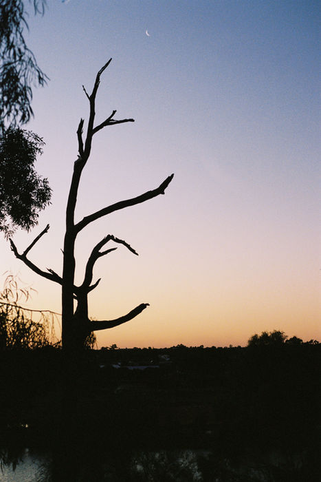 KODAK PORTRA 400 (11).jpg