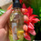 Thumbnail: Abundance & Money Oil