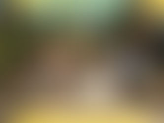 UZEKAIW| Conversa sobre ecologia