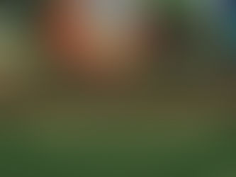 CICLO SAGRADO DAS MULHERES