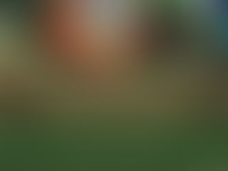 Ciclo sagrado feminino