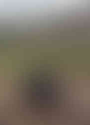 During a veterinary graduate photo session a woman smiles as she hugs her dog.