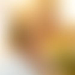 Close-up of bride with natural light and desert backdrop