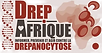 Logo Drep.afrique