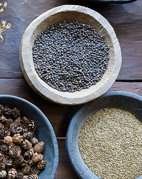 Natural Herbs