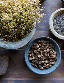 Las hierbas naturales servico en clínica naturópata de sant sadurní d'Anoia Barcelona