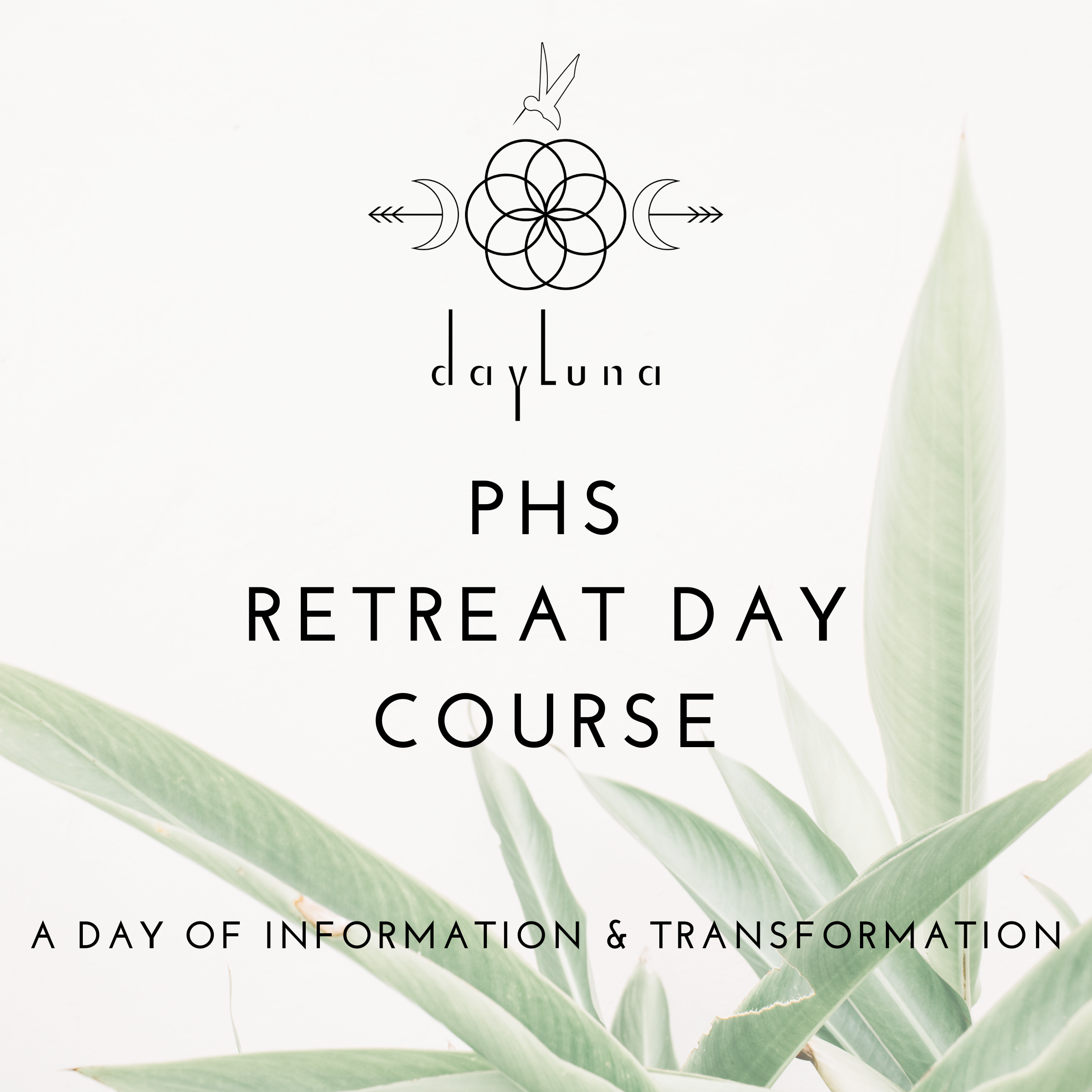 PHS Video Course Retreat Day