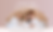 Website headers.png