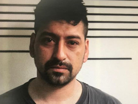 EP man arrested after intentionally attempting to run over dogs with vehicle
