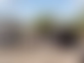 Two females transported to ER after being shot, struck with baseball bat