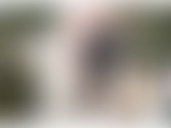 Troop-installed barbwire stolen from border, now protecting Mexico homes