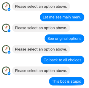 Client's chat with bot